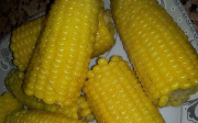 Vařená kukuřice